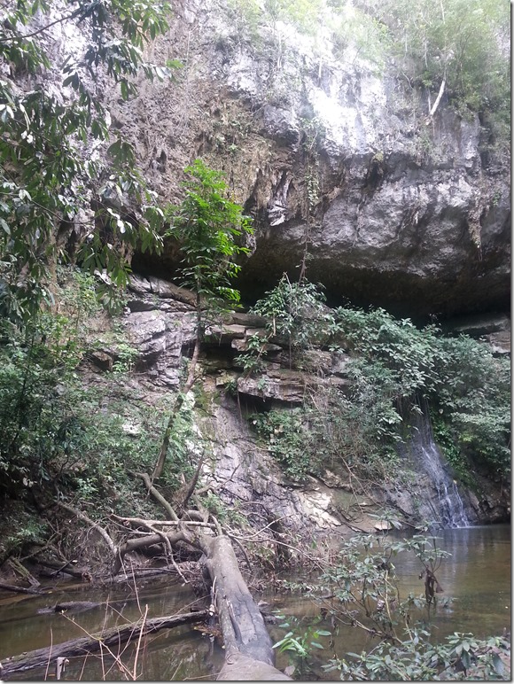 Small waterfall and pond in Mulu National Park.