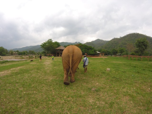 Elephant Nature Park. Chiang Mai, Thailand.